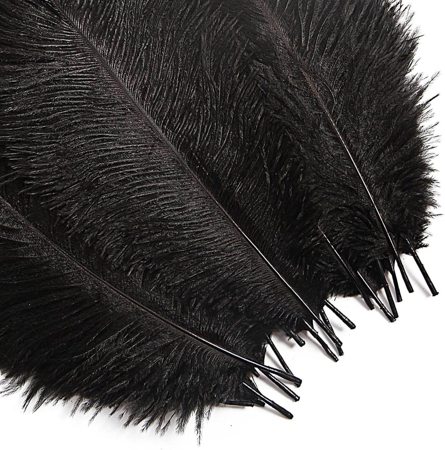 Bulk Black Ostrich Feathers - 12Pcs 12-14inch Crafting Supplies for Centerpiece Table Decorations (Black)