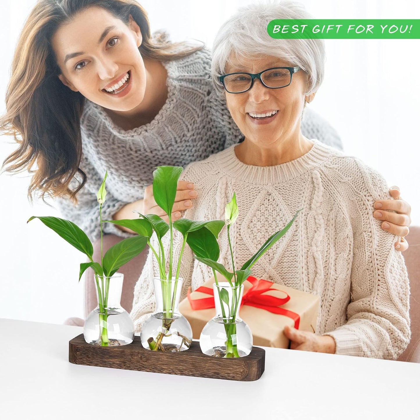 YIBOT Propagation Stations,Plant Propagation Vase,Desk Plant Terrarium with Retro Wooden Stand,Plant Lover Gifts for Women for Hydroponics Plants Home Garden Wedding Decor(3 Vase)