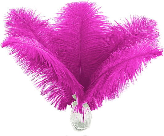 Ballinger Fuchsia Large Ostrich Feathers - 24pcs 10-12inch Craft Feathers Bulk for r Party Centerpieces, Flower Arrangement and Home Decor