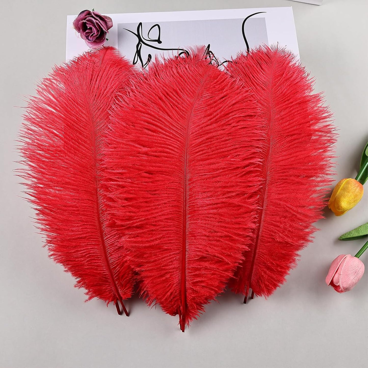 THARAHT Red Ostrich Feathers 12pcs Natural Bulk 10-12Inch 25cm-30cm for Crafts Wedding Party Centerpieces Halloween and Home Decoration Feathers