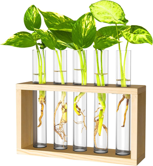 Ivolador Plant Propagation Station Terrariumin Wall Test Tube Vases Bud Tabletop Glass Wooden Stand with 5 Propagation Tubes for Propagating Hydroponic Plants Home Garden Wedding Decoration-Beige
