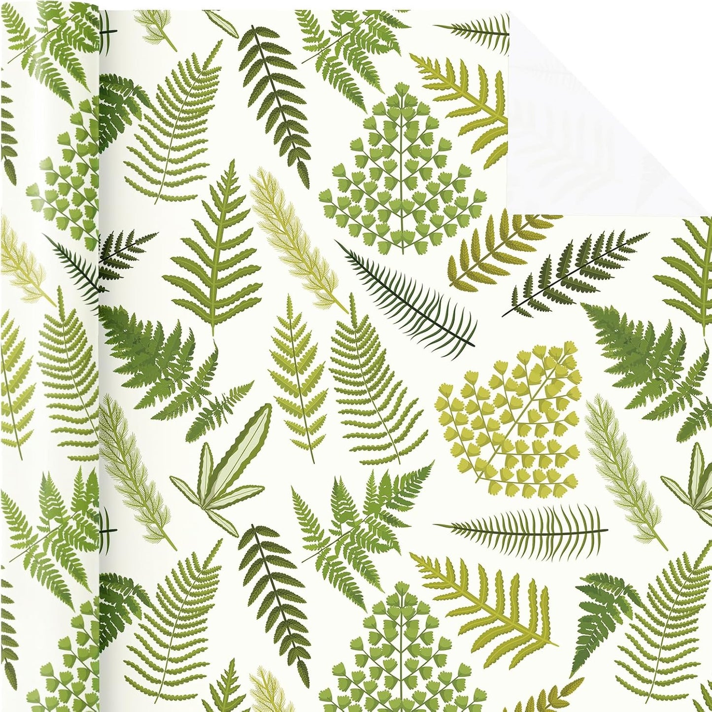 WRAPAHOLIC Fern Wrapping Paper Roll - Mini Roll - 17 Inch x 9.8 Feet - Woodland Fern Botanical Wrapping Paper Perfect for Birthday, Wedding, Baby Shower