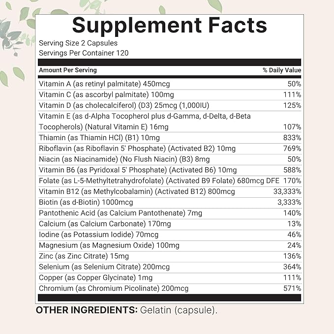 Micro Ingredients 2 Pack Pure Methylated Multivitamin, 480 Capsules | 19-in-1 Formula with Vitamins C, D, B12, Folate, Magnesium, Zinc, & More | Supports Daily Wellness & Immune Health | Filler Free