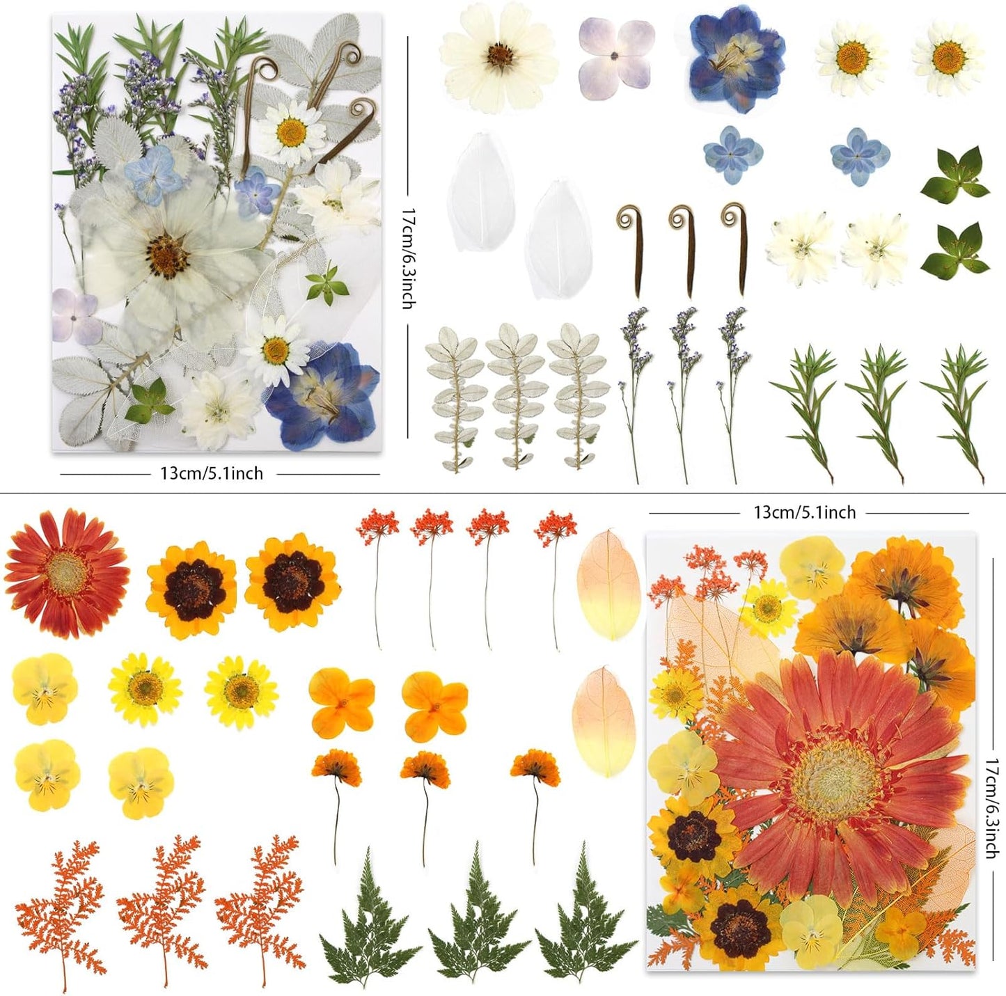 100 Pcs Large Dried Pressed Flowers for Crafts, Real Natural Flowers in Vibrant Colors for Resin, DIY Art, Jewelry & Soap Making – Tweezers Included