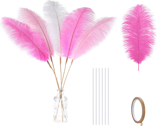 Holmgren Pink White and Light Pink Ostrich Feathers - 20pcs Making Kit 22 Inch Ostrich Feathers Bulk for Vase, Floral Arrangement, Tables Wedding Party Centerpieces and Christmas Home Decorations