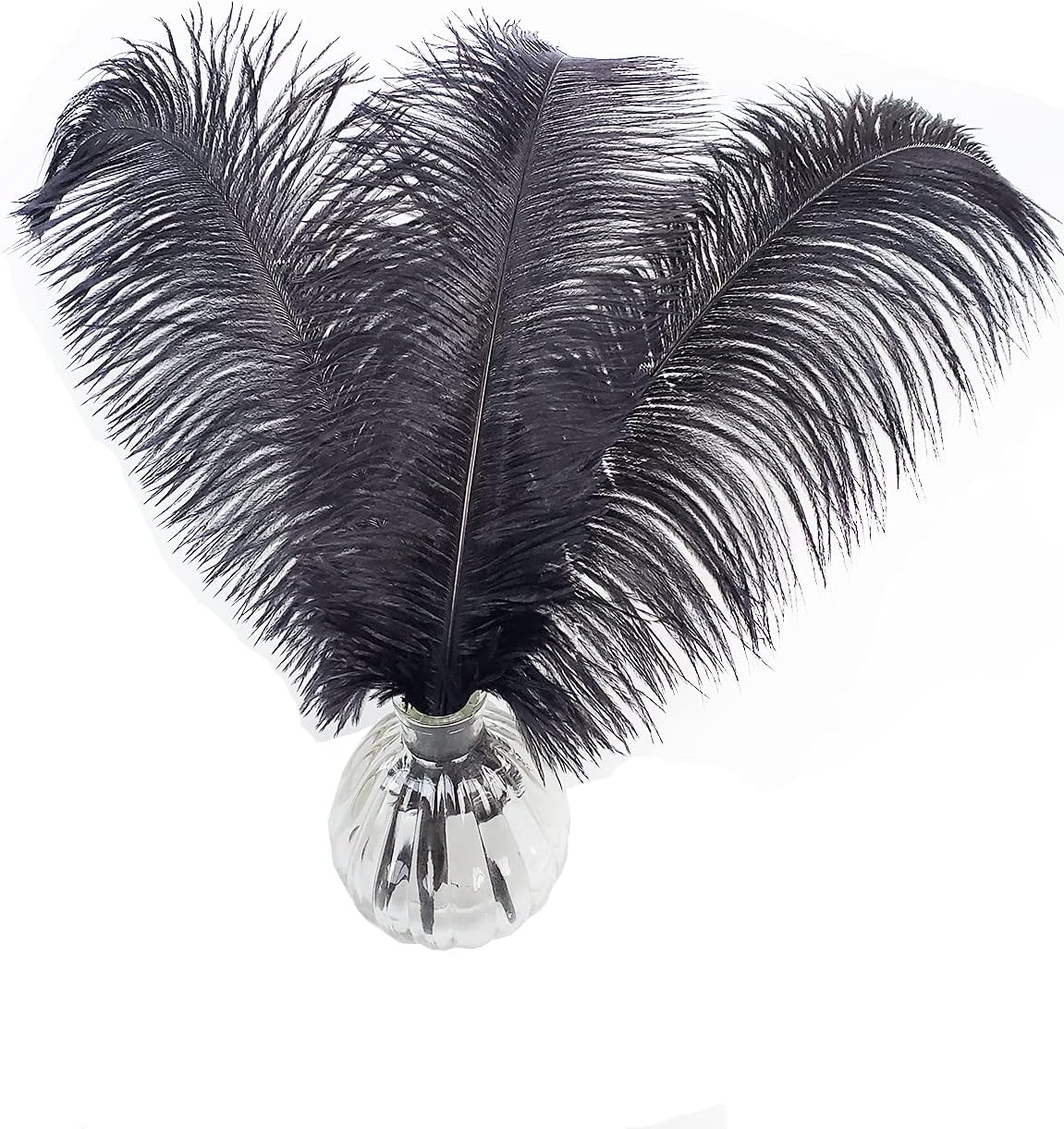 Happy Feather 16-18 inch Black Ostrich Feathers Craft for Wedding Party Centerpieces Home Decoration DIY Craft Pack of 10