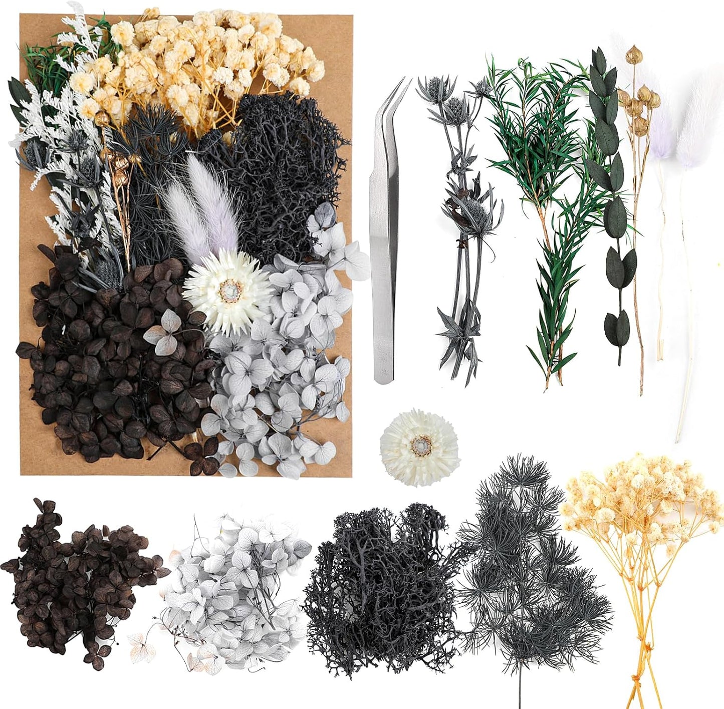 Dried Flowers,Dried Flowers Set for DIY Scrapbook Accessories Flower Arrangements Flower Decoration Wedding Decoration(Black)