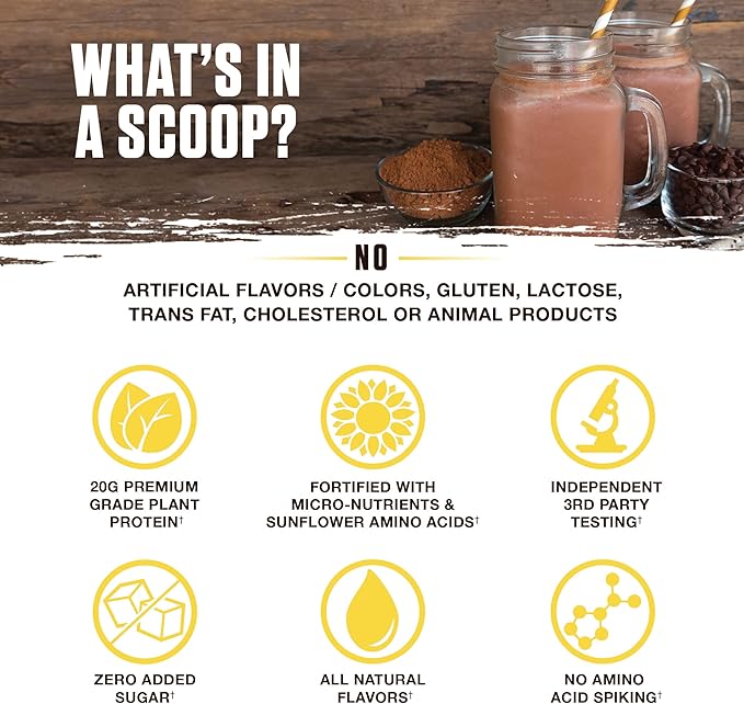 Ambrosia Planta - Premium Organic Plant-Based Protein | Vegan & Keto Friendly | Gourmet Flavors with No Bloating or Stomach Upset | No Added Sugar | 14 Servings | (Melted Chocolate)