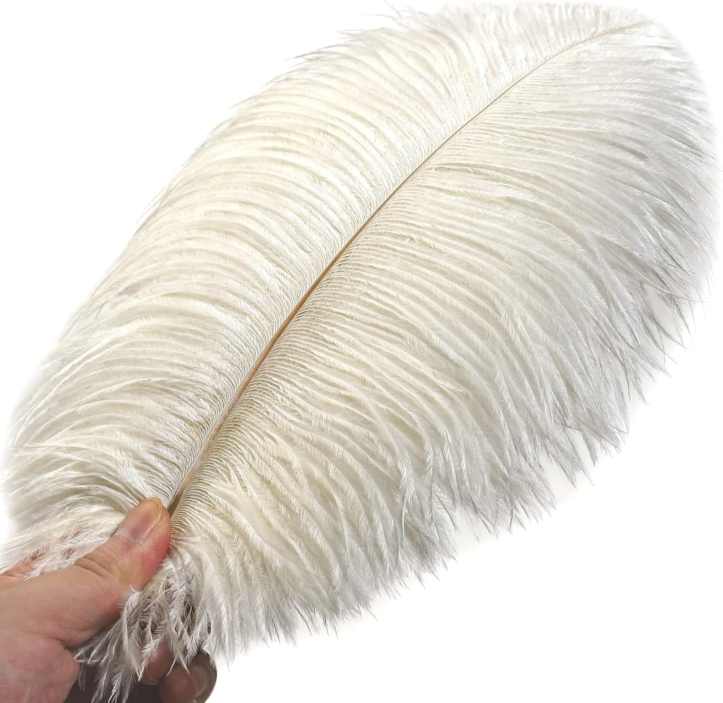 Ballinger Beige Ostrich Feathers Bulk - 24pcs 12-14inch Cream Feathers for Vase,Wedding Party Centerpieces and Home Decor