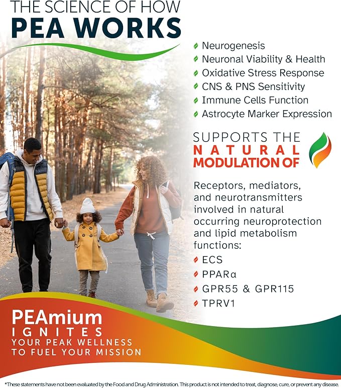 Palmitoylethanolamide 450mg Comfort Mobility Nerves Cognitive & Immune Support - Micronized High Absorption - All Natural Pea - USA Made - No Additives or Excipients – 60 Vegan Capsules Supplement