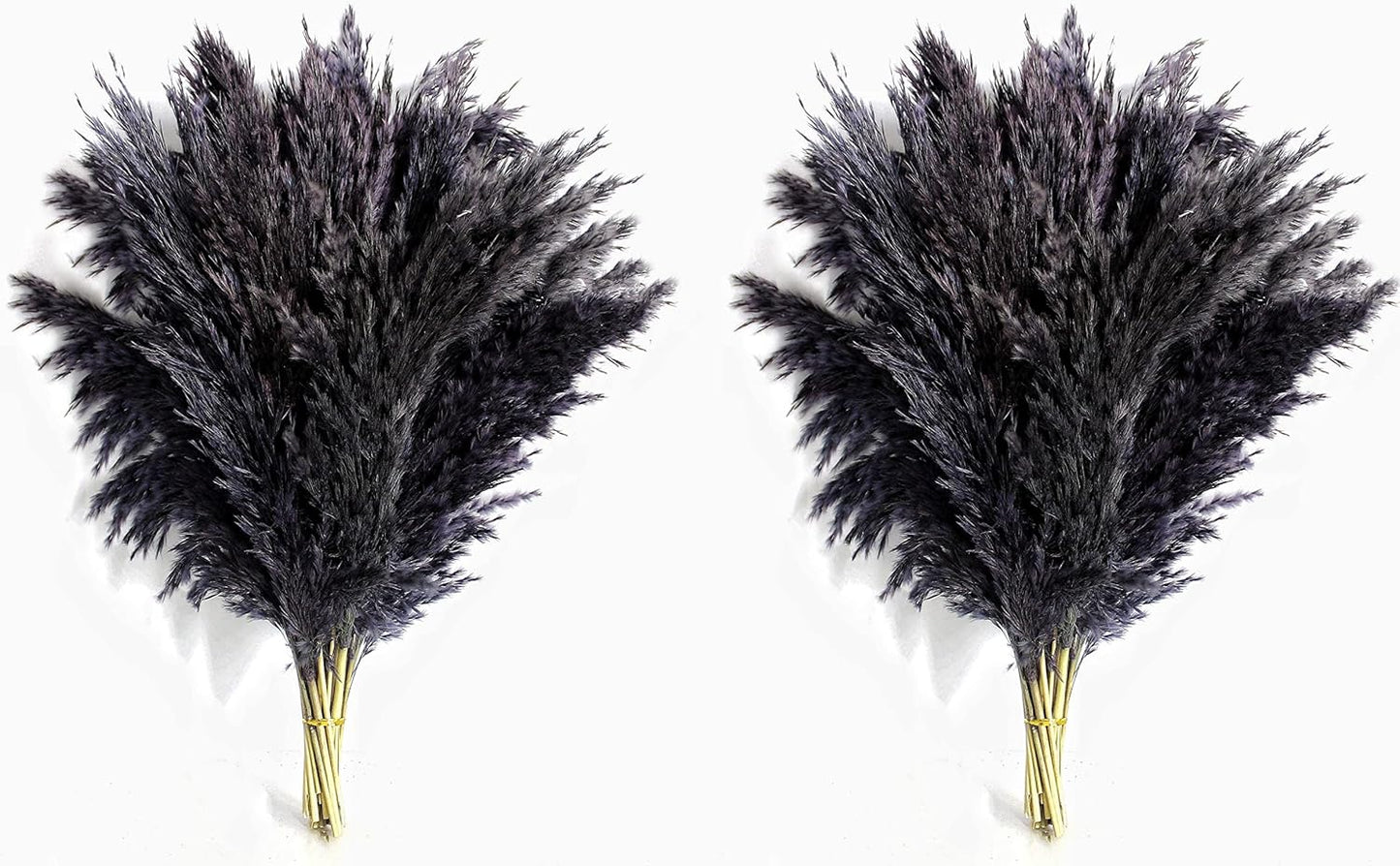 Black Pampas Grass for Home Decor - Elegant Boho Decor - Premium Quality Pampas Grass Stems - Perfect for House, Nursery, Western, Wedding, Table, and Bohemian Decor (20PCS)