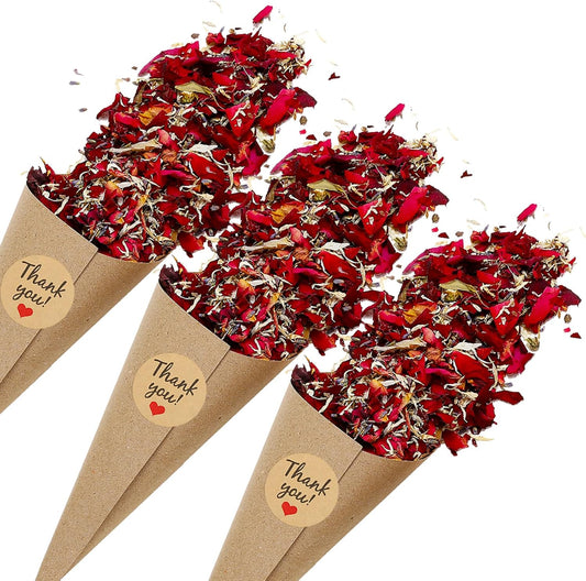 PATIKIL Dried Flower Confetti Cones, 30Pcs Paper Tapers Cone Holder with Dried Rose Petals / Sticker for Wedding Party Engagement Birthday DIY Decoration, Red