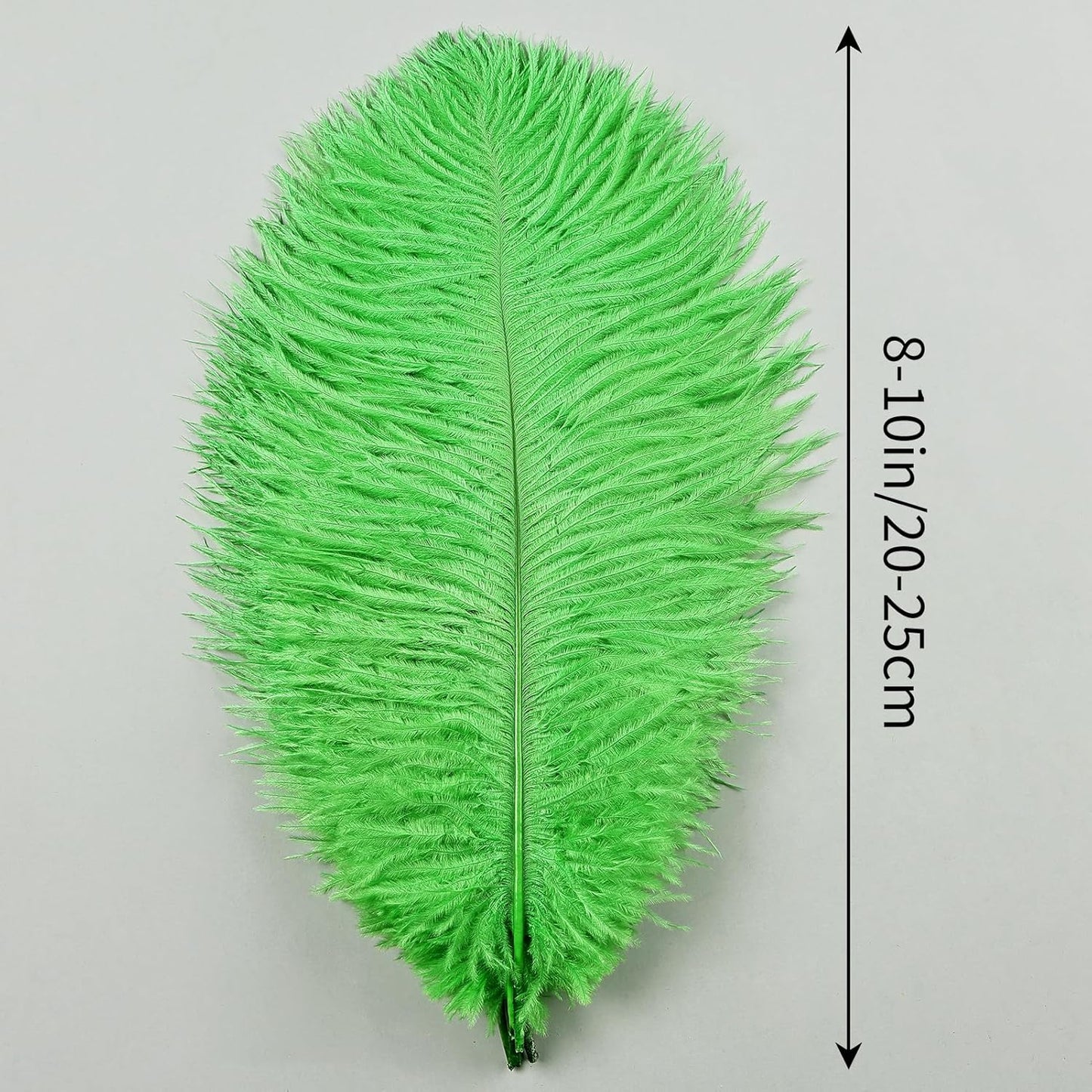 THARAHT Green Ostrich Feathers 24pcs Natural Bulk 8-10Inch 20cm-25cm for Crafts Wedding Party Centerpieces Mardi Gras and Home Decoration Feathers