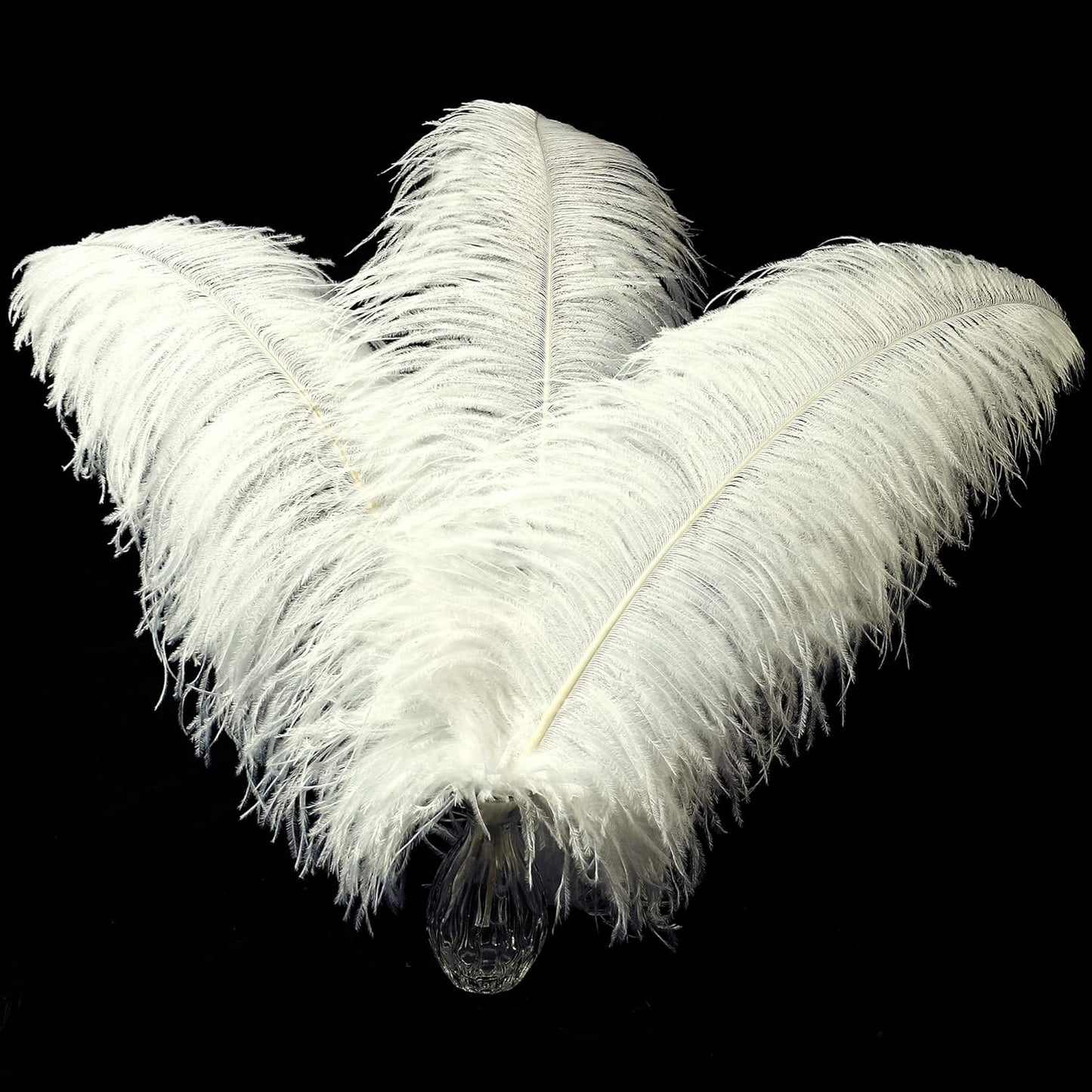 Beige Large Ostrich Feathers Bulk- 16-18 inches 10pcs for Wedding Party Centerpieces,Flower Arrangement and Home Decorations (Beige)