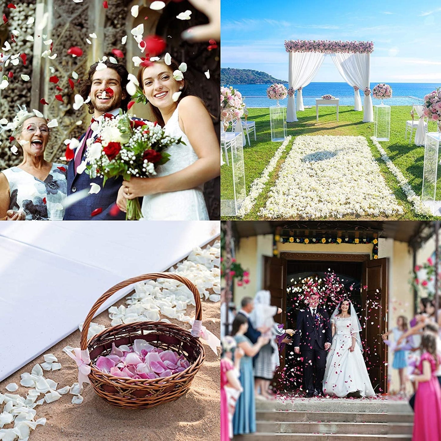 Ouddy Decor 3000 Pcs Rose Petals Artificial Flowers for Valentine's Wedding Decor Romantic Night Bridal Party Home Decorations, Ivory