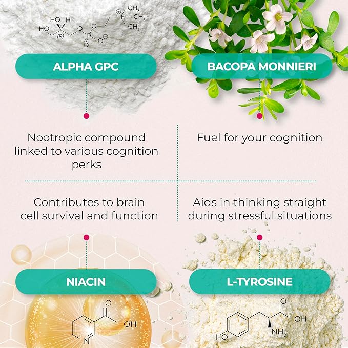 Ageless Brain Supplements for Memory and Focus - Nootropic Brain Health Supplement for Adults - with Bacopa Monieri, Alpha GPC, L-Tyrosine, Vitamin B6, Niacin & More, 60 Capsules
