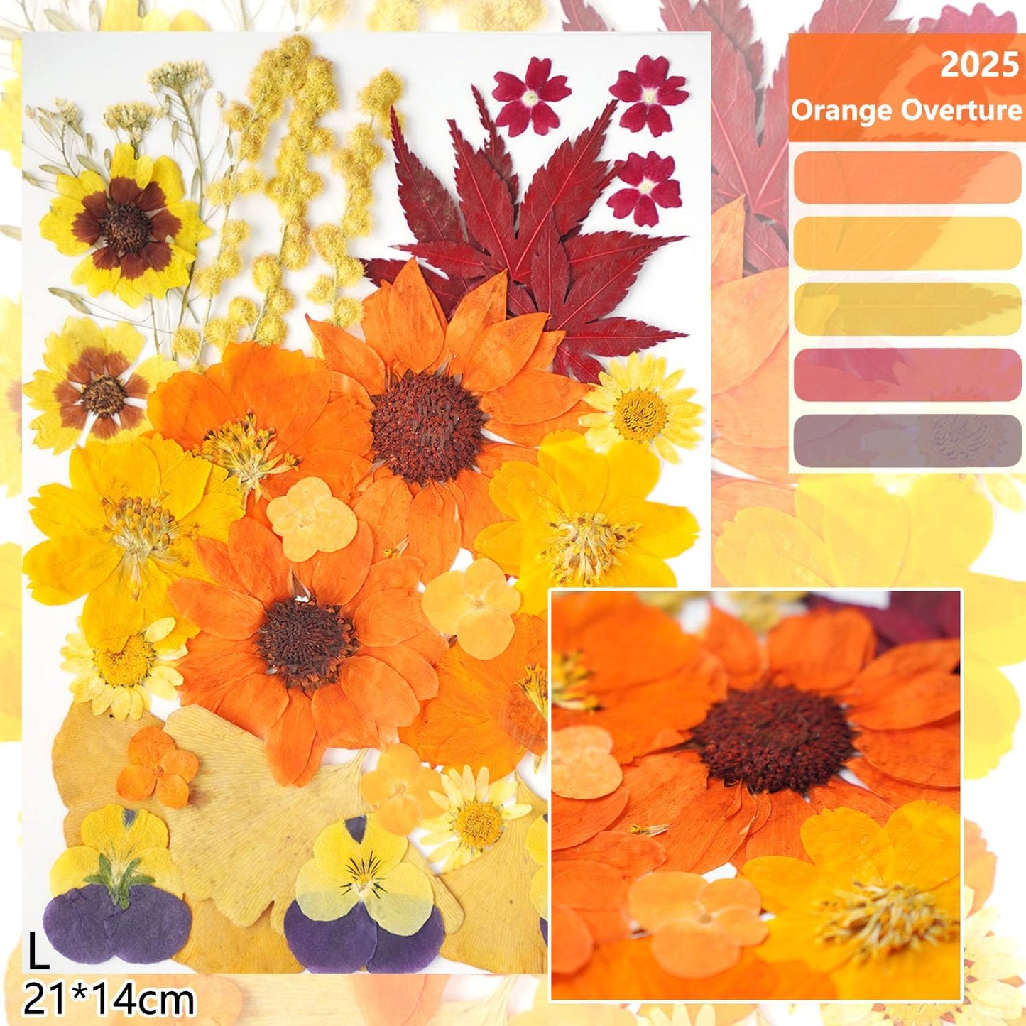 12Types Real Dried Pressed Flowers Sunflowers for Crafts Resin Jewelry Making, Fall Floral Cake Decorations-Orange