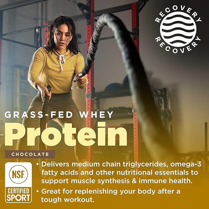 Gnarly Nutrition Chocolate Protein Powder – NSF Sport Certified – 25g Protein, Muscle Repair – Grass Fed Whey Powder, Smooth Taste – Chocolate, Box of 10 Stick Packs