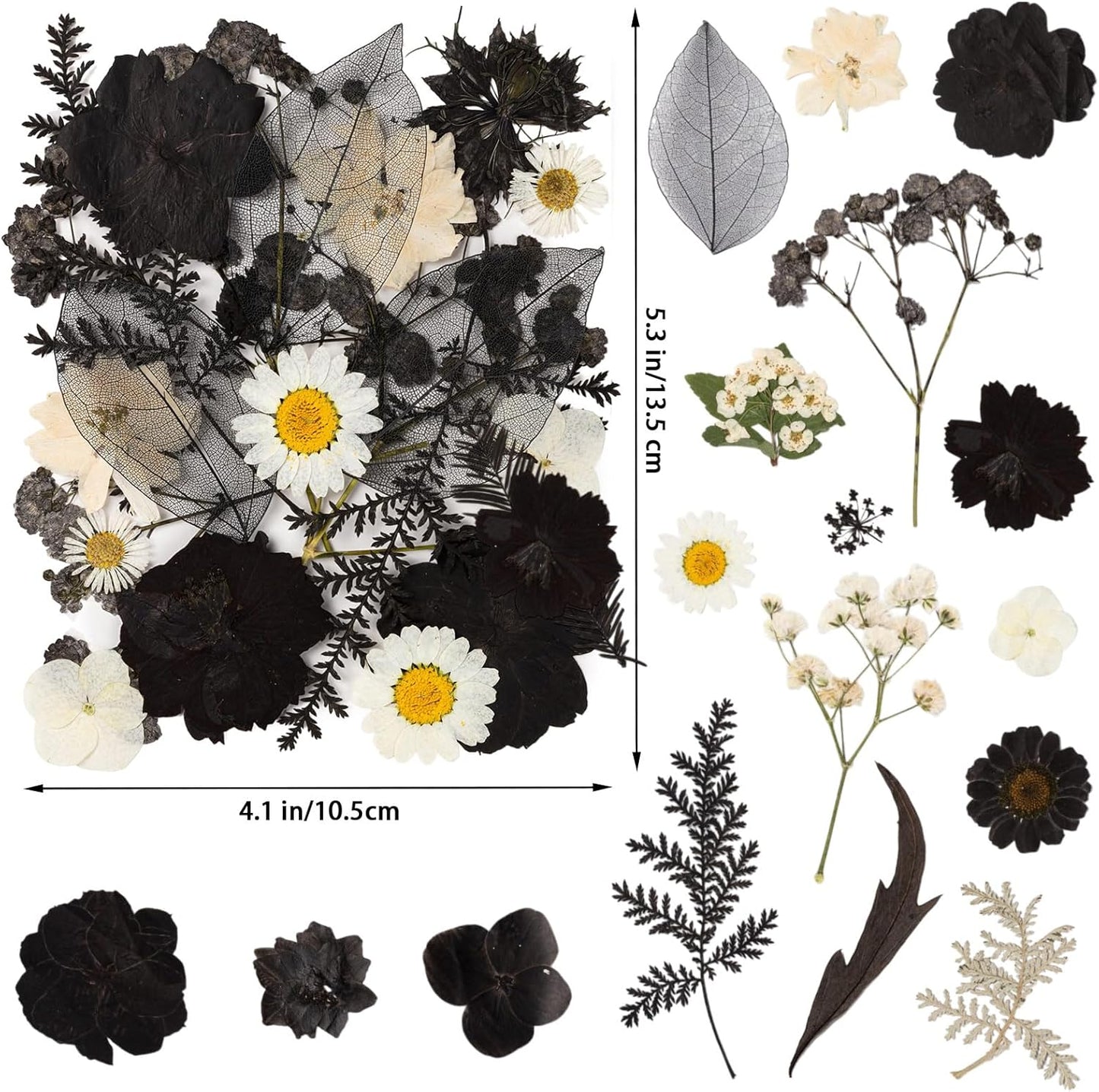 78 Pcs Black and White Dried Pressed Flowers with Tweezer, Halloween Themed Real Dried Flowers Leaves for DIY Crafts Resin Molds, Dried Flowers for Autumn Halloween Decorations