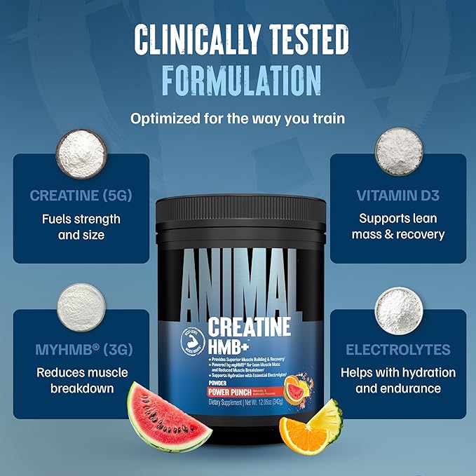Animal Creatine HMB Powder – 5g Creatine + 3g myHMB with Electrolytes for Recovery & Daily Energy – Power Punch Flavor, 30 Servings