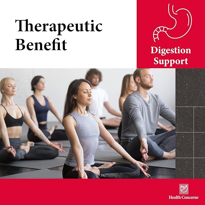 Health Concerns Six Gentlemen – Digestive Health & Qi Support Supplement – Licorice Root, Ginger & Codonopsis Formula – Bloating, Gas, Nausea – 90 Capsules – Chinese Herbal Medicine