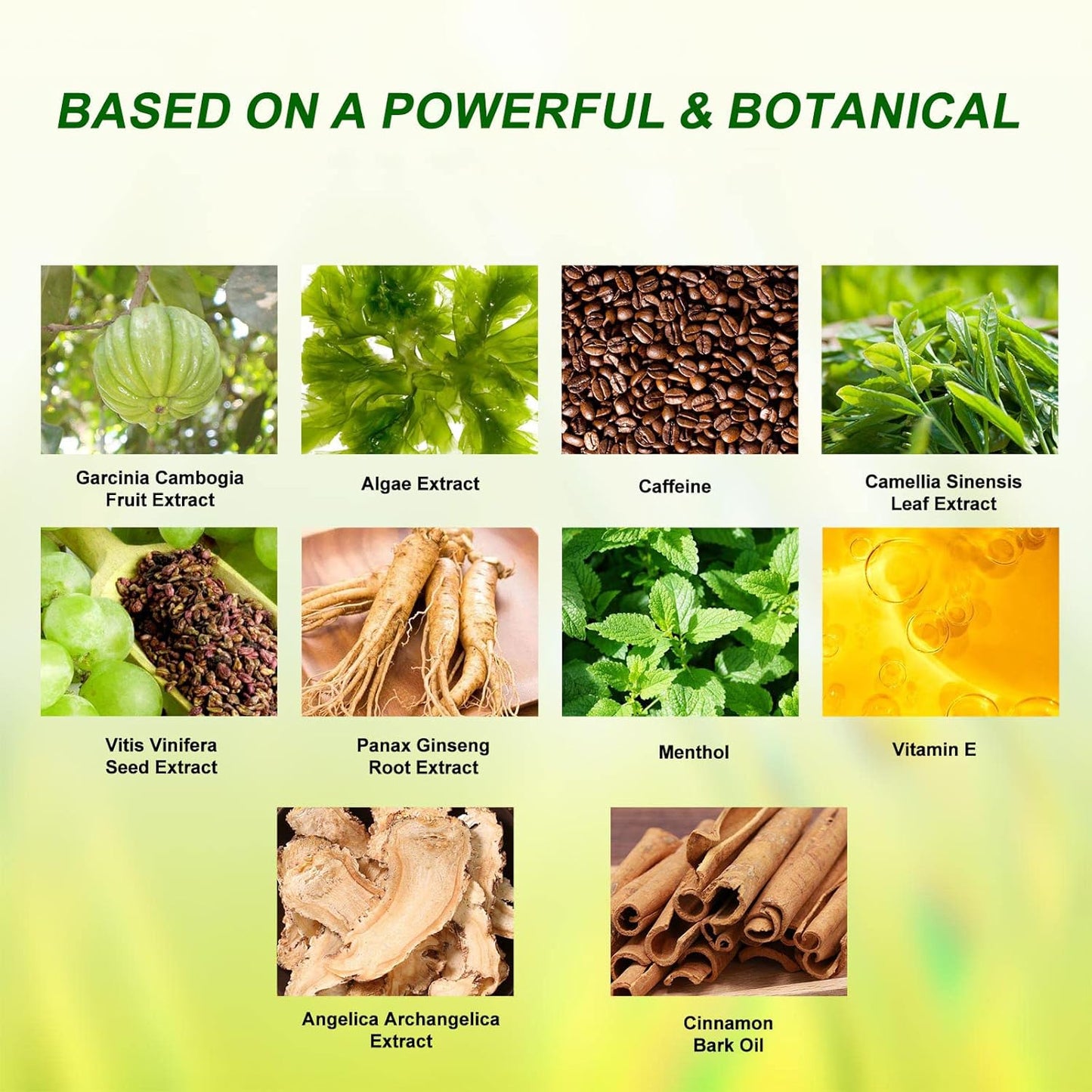 Neutriherbs Body Applicator with Wrap, Effective Nature Formula to Shape, Tone, Firm Body, Works for Belly, Stomach,Legs,Arms,Buttocks (5pcs)