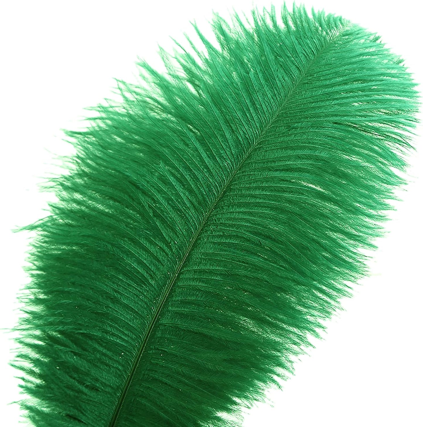 Ballinger Green Large Ostrich Feathers - 12pcs 12-14inch Feathers for Vase, Wedding Party Centerpieces Mardi Gras Decorations and Home Decor(Green)