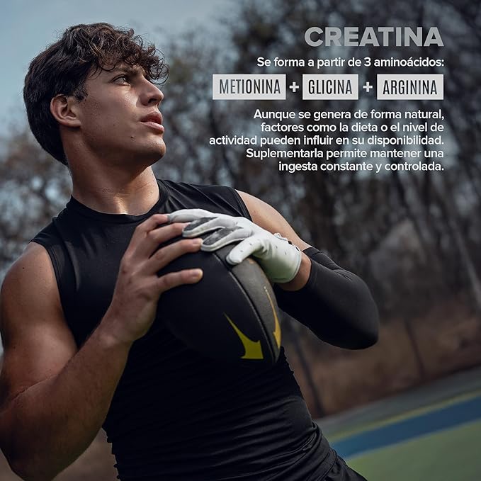 Micronized Creatine Monohydrate Powder, Unflavored, High-Purity, Organic, Muscle Recovery, Caffeine Free Pre Workout, Post Workout, Gluten Free, Sugar Free