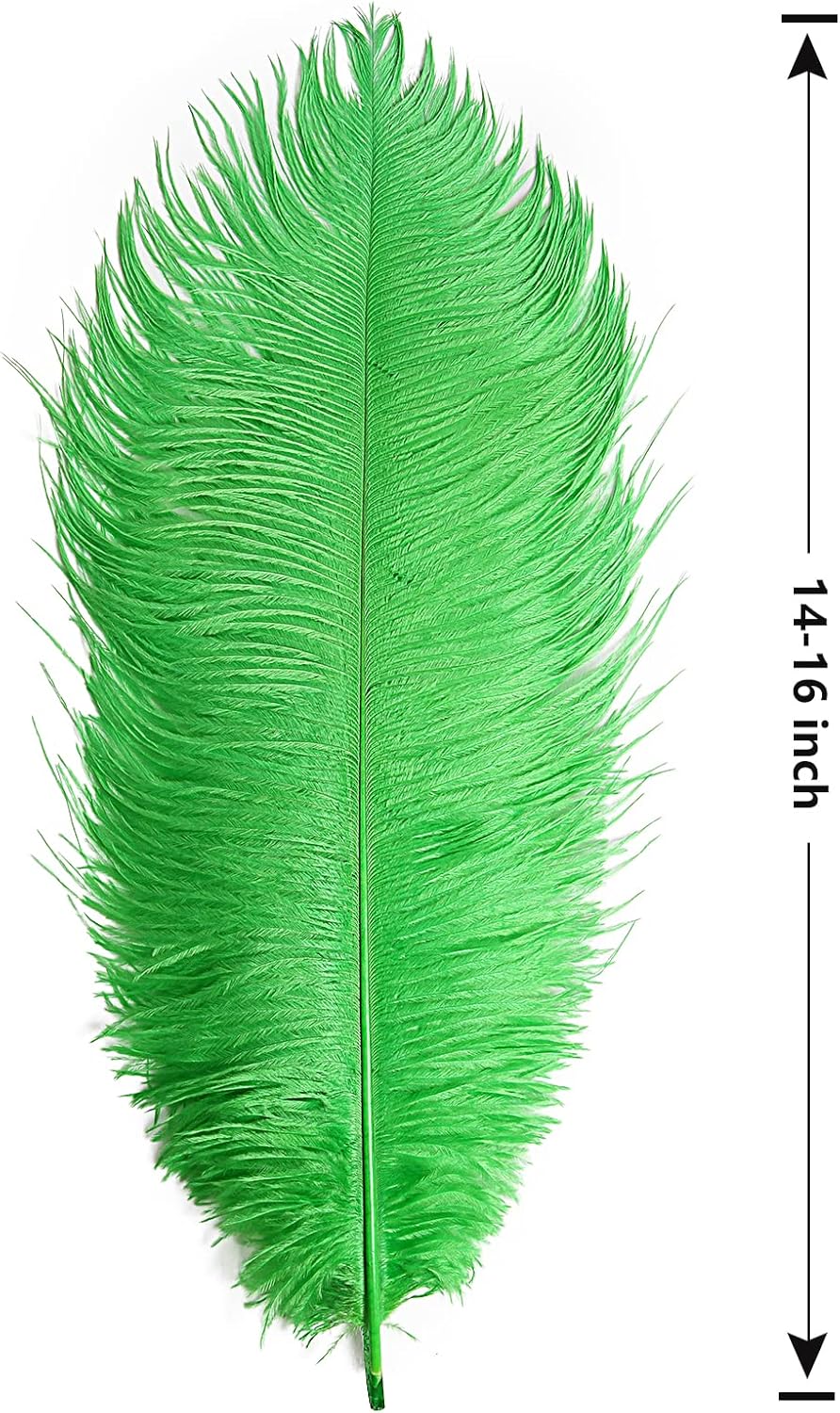 THARAHT Green Ostrich Feathers 12pcs Large Natural Bulk 14-16Inch 35cm-40cm for Wedding Party Centerpieces Mardi Gras and Home Decoration Feathers