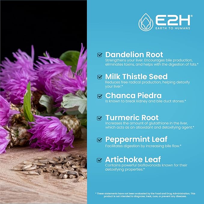 E2H Liver Support Supplement with Milk Thistle - Liver Health Formula - Artichoke Extract, Dandelion Root, Chanca Piedra, and More - Absorbent Liquid Formula (2 Bottles)