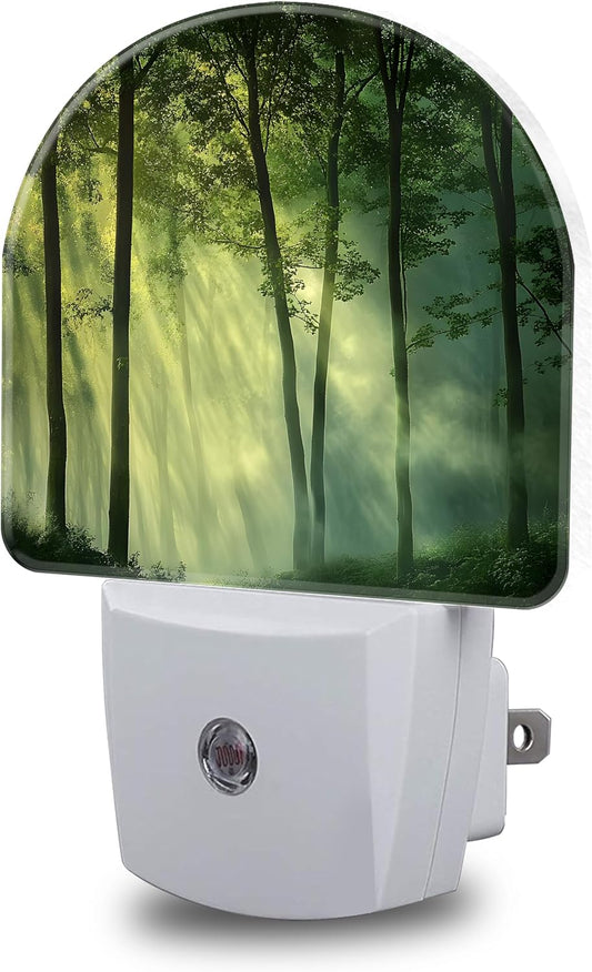 Night Lights Plug into Wall Misty Forest Night Light Dusk to Dawn Smart Sensor Decorative Round Led Lamp for Bedroom Bathroom Kitchen Hallway Nightlight for Women Men