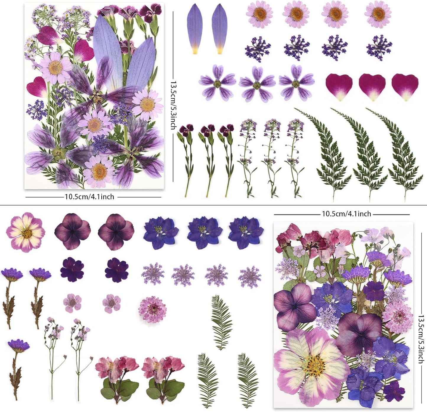 100P Purple Pressed Flowers – Real Dried Flowers for Crafts in Rich Violet Tones, Ideal for Resin Art, DIY Projects, Jewelry & Candle Making – Tweezers Included