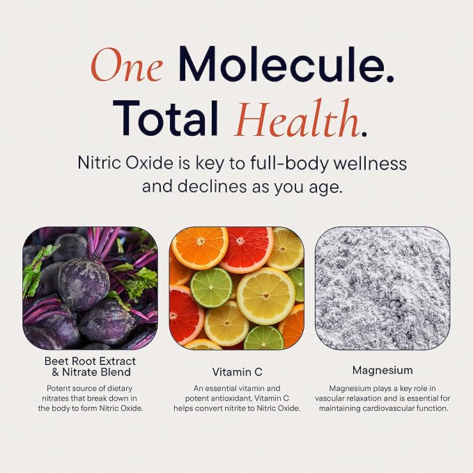 Berkely Life Nitric Oxide Foundation, Full-Body Circulatory Support - Nitric Oxide Supplement with Beet Root Powder Supports Healthy Blood Pressure, Heart & Cardiovascular Health - 180 Capsules