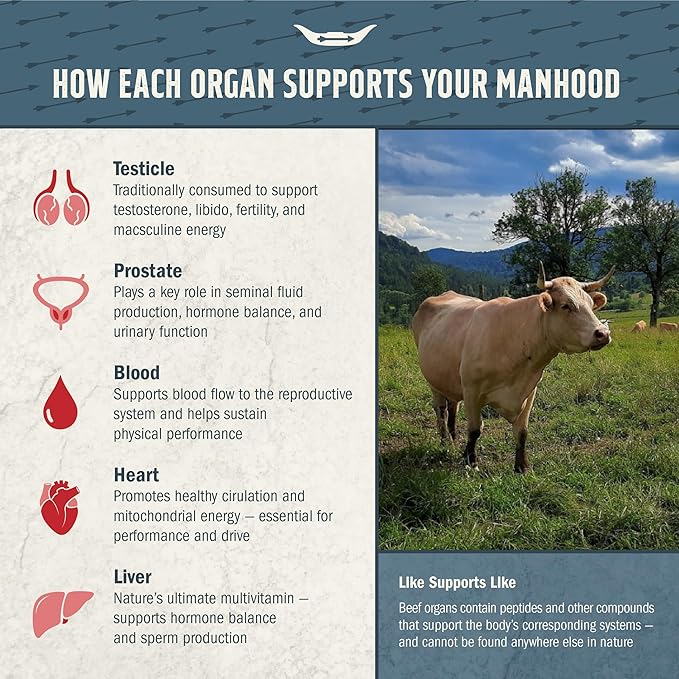 100% Grass Fed Beef Testicle with Prostate, Blood, Liver & Heart - Beef Organ Supplement for Men's Health & Vitality - 3000mg / 30 Servings