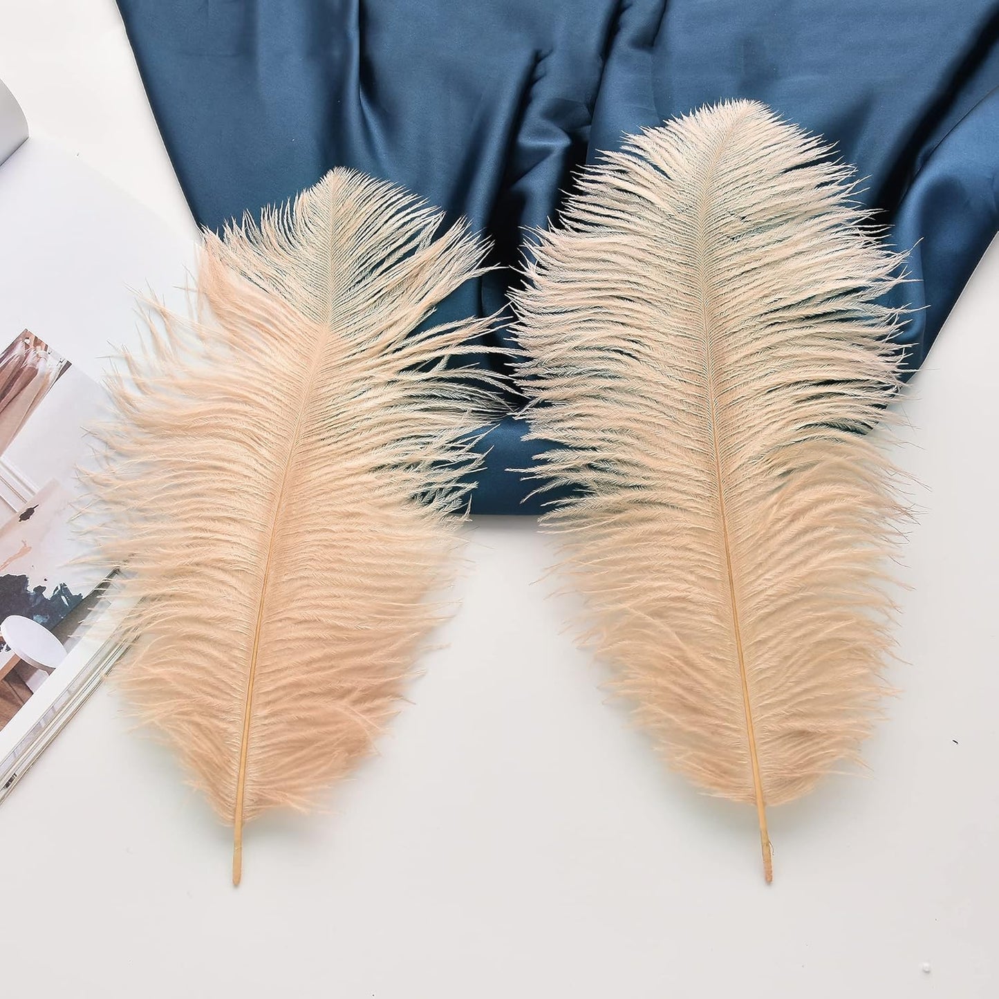Ballinger Champagne Large Ostrich Feathers - 12Pcs 14-16inch Large Boho Feathers for Vase,Wedding Party Centerpieces and Holiday Home Decor