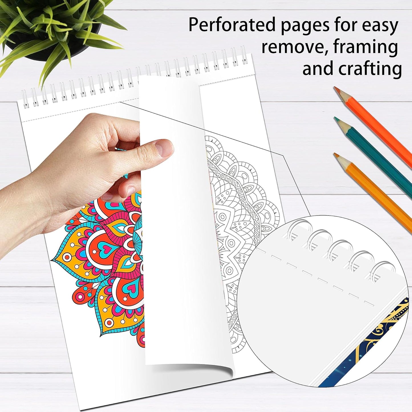 Elfew 2 Pack Mandalas Coloring Books for Adult, 80 Original Mandala Patterns and Designs, Coloring Book for Adults Relaxation, Adult Coloring Book Spiral Bound, Relaxation Books for Women