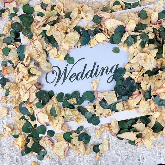 Oning 20+ Cups of Mix Dried Bio Flower Rose Petals Confetti, 2 QT Ivory White Roses & Eucalyptus Leaves, Real Petals for Wedding Parties Romantic Gifts