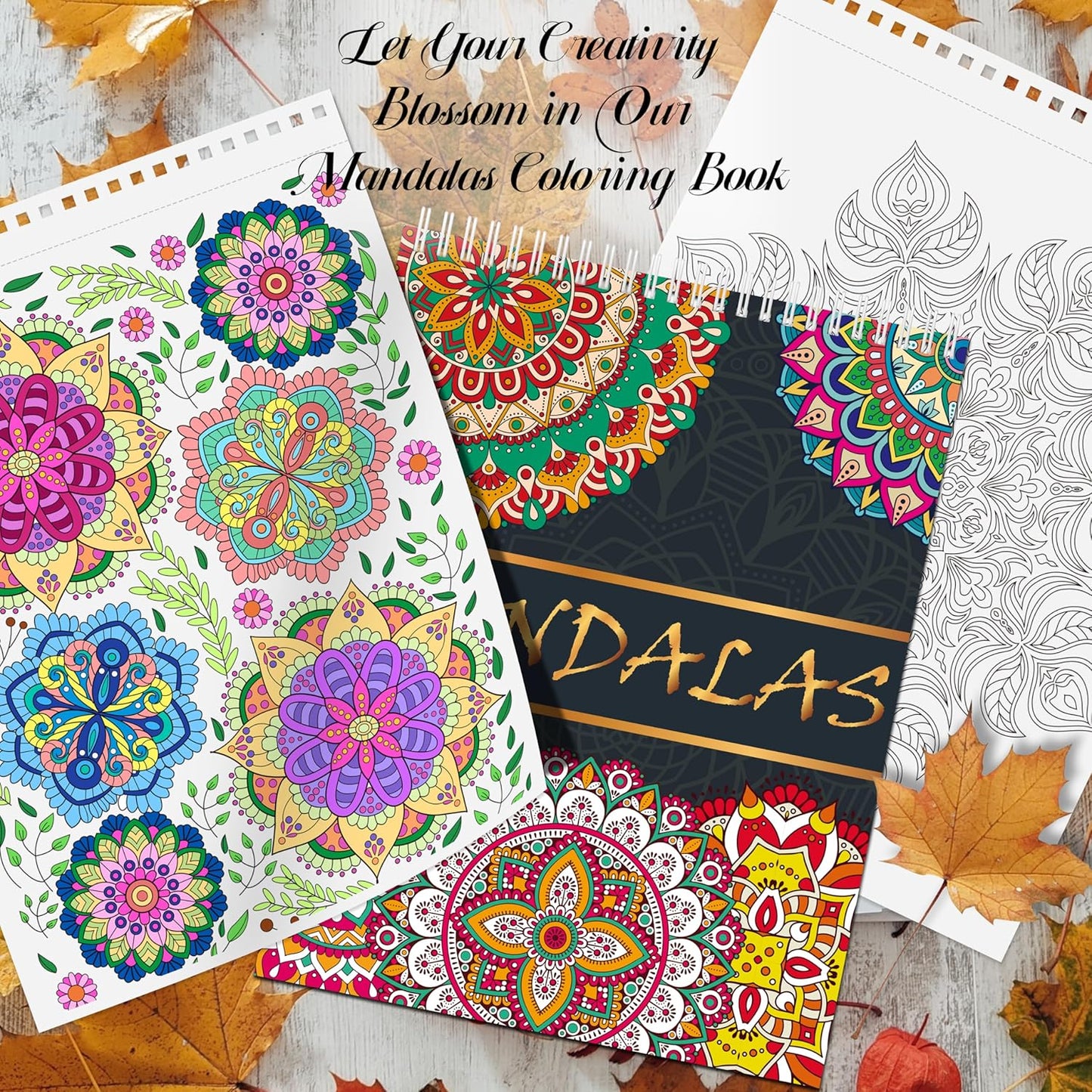 Elfew 2 Pack Mandalas Coloring Books for Adult, 80 Original Mandala Patterns and Designs, Coloring Book for Adults Relaxation, Adult Coloring Book Spiral Bound, Relaxation Books for Women